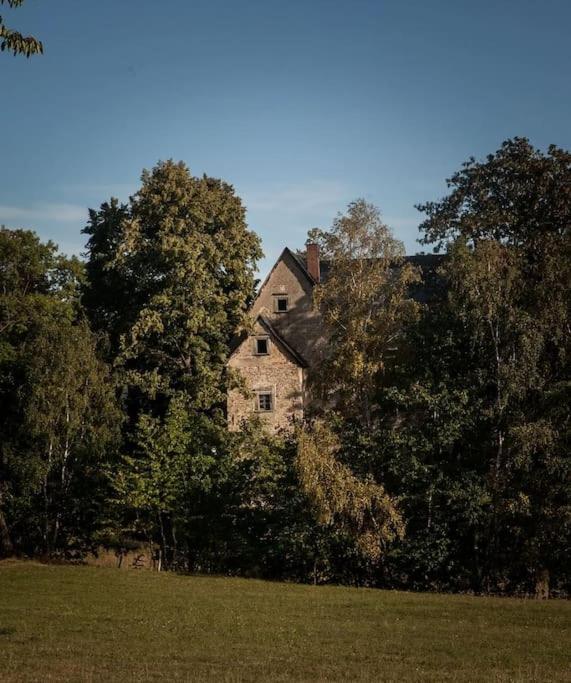 Apartment Castle Hill I Maciejowiec